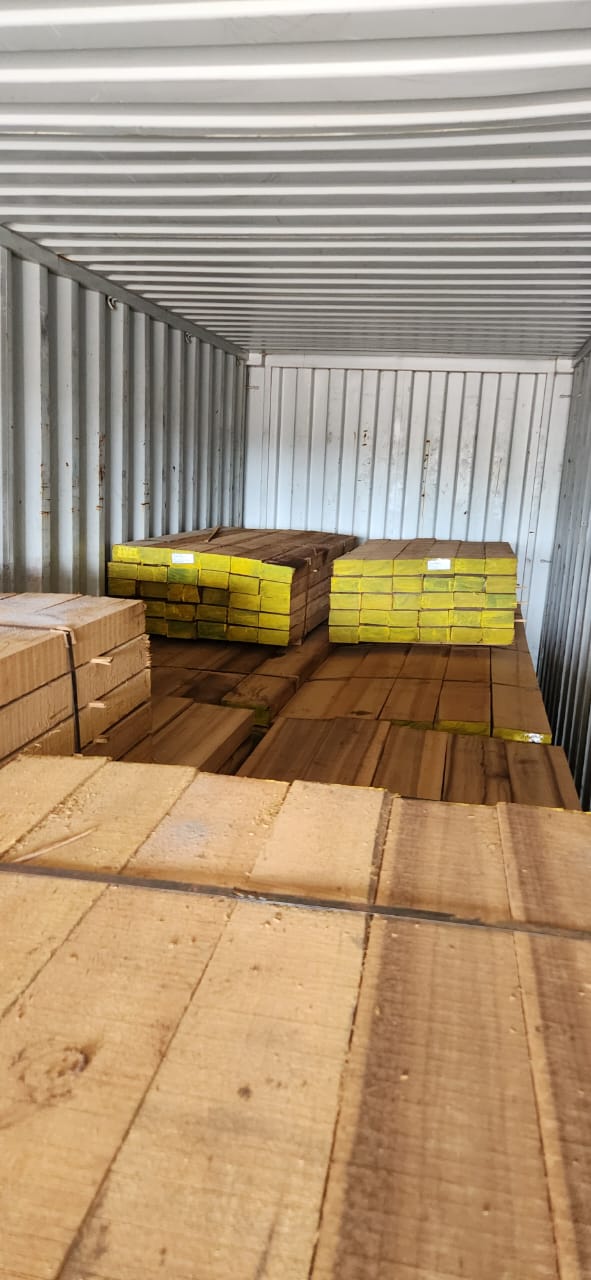 Sawn timber bundles packed inside a shipping container