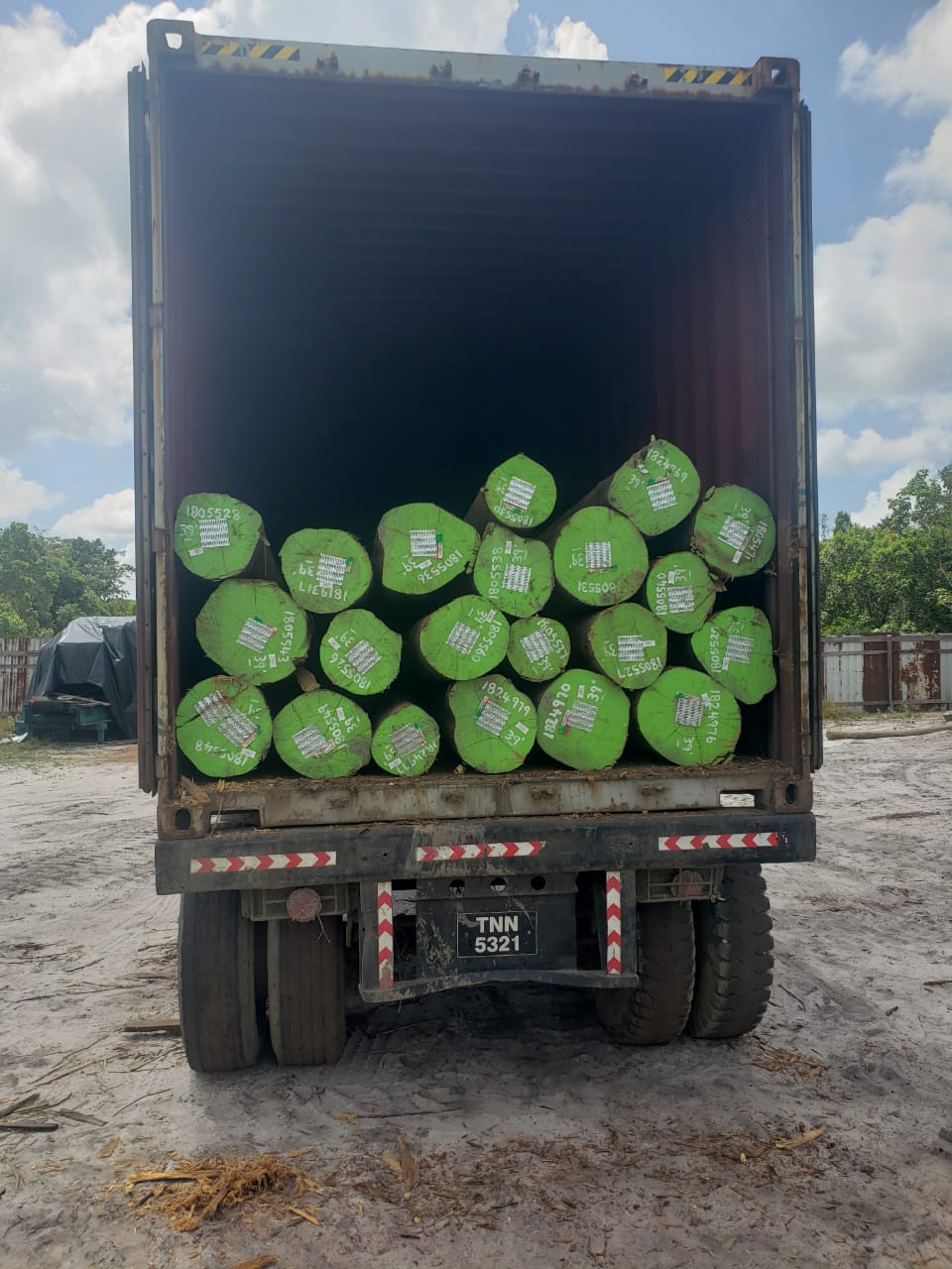 Green-ended timber piles loaded into the back of a container truck
