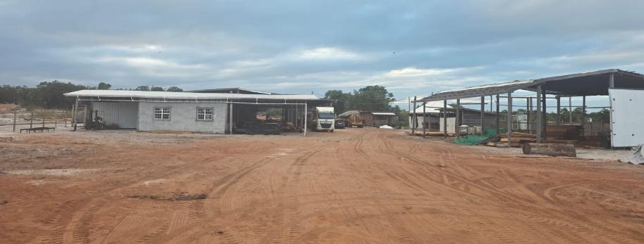 Green Line's sawmill buildings and open timber yard at Hauraruni